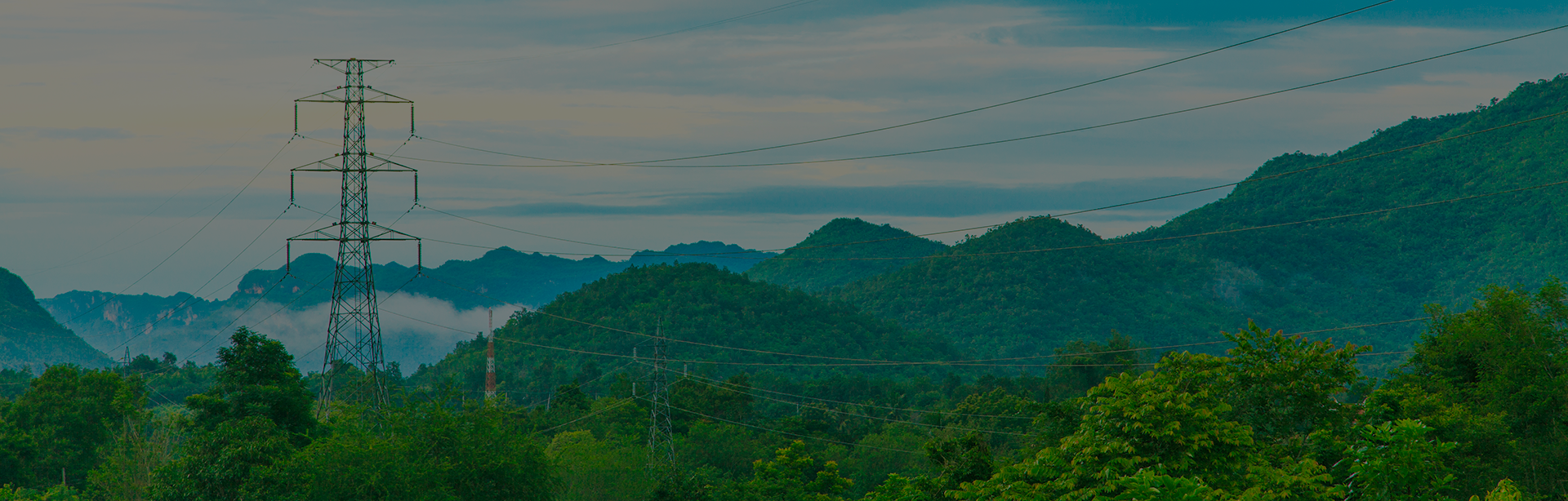 Enchanting landscape: a lush green forest, where nature reveals its beauty in vibrant tones